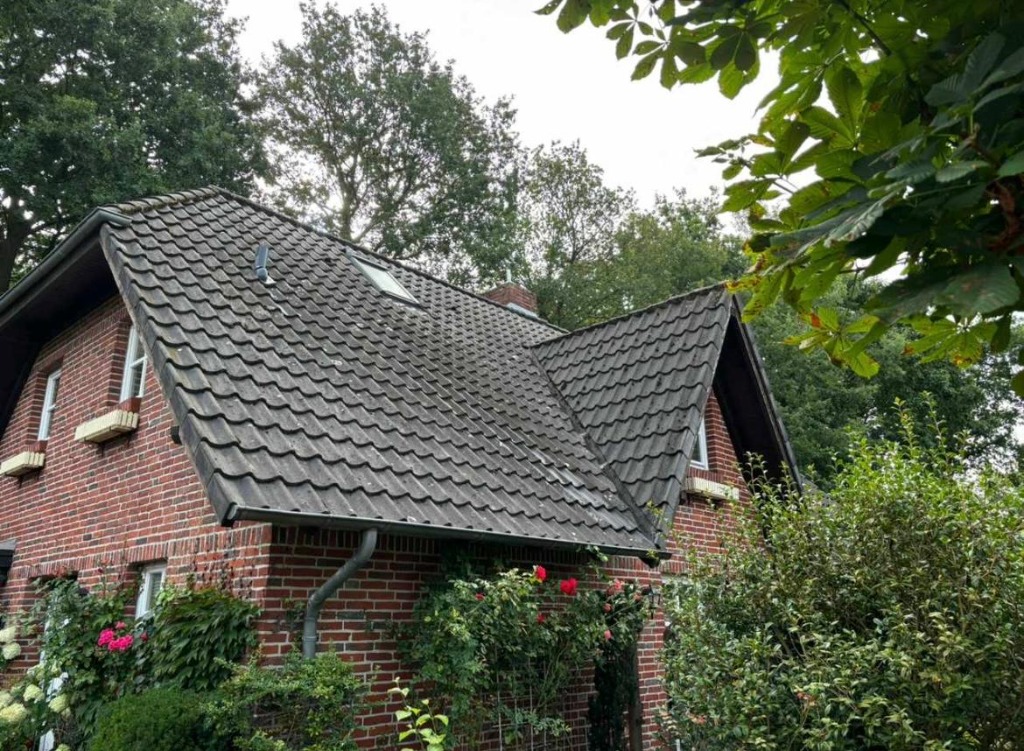 Vorher - Dachzustand